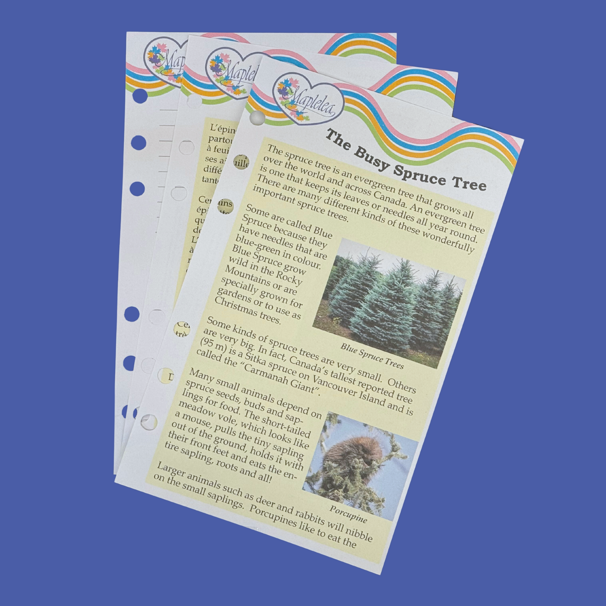 blue spruce journal pages