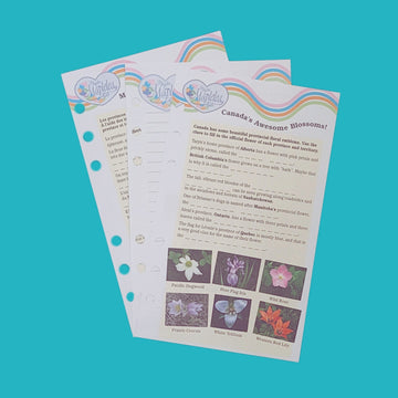 XKA32 PAGES DE JOURNAL Positivement paisibles