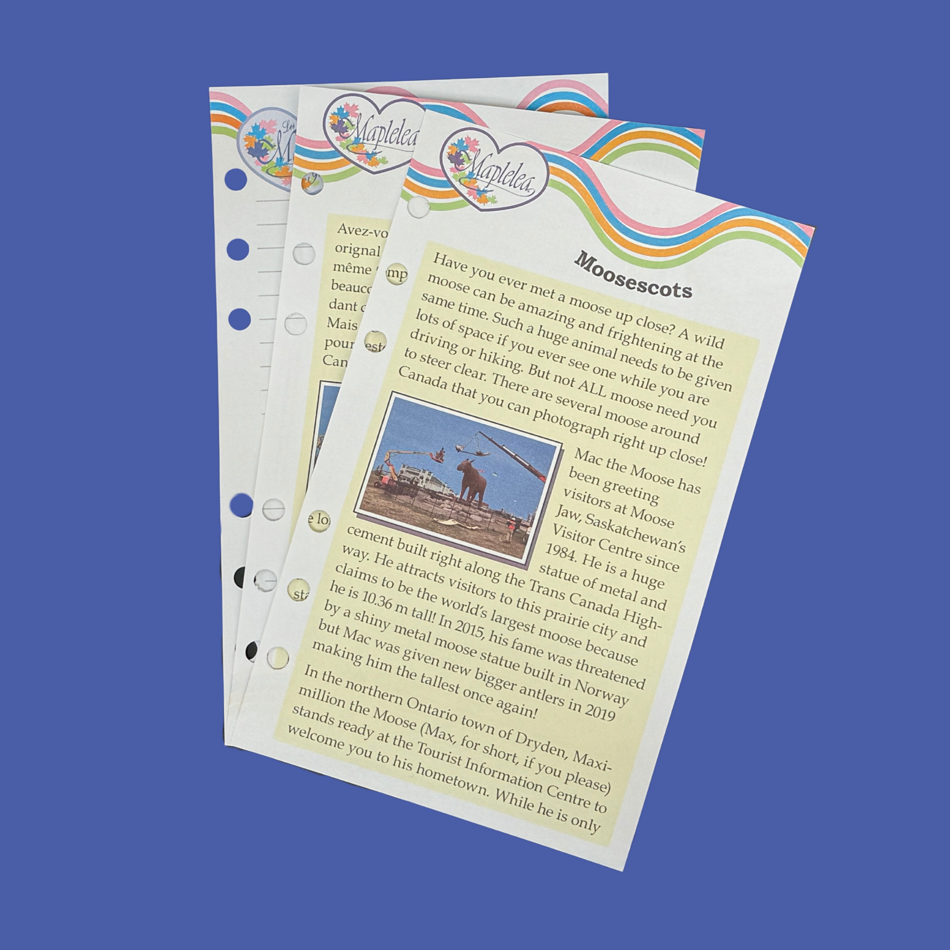 moose slipper journal pages
