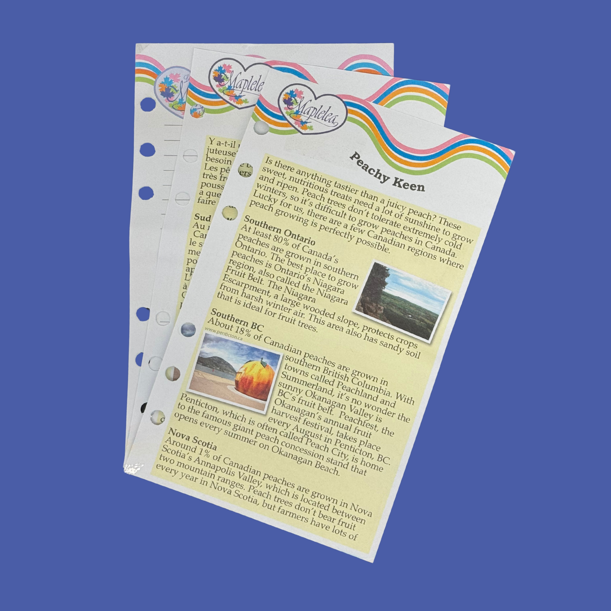 peachy keen runners journal pages