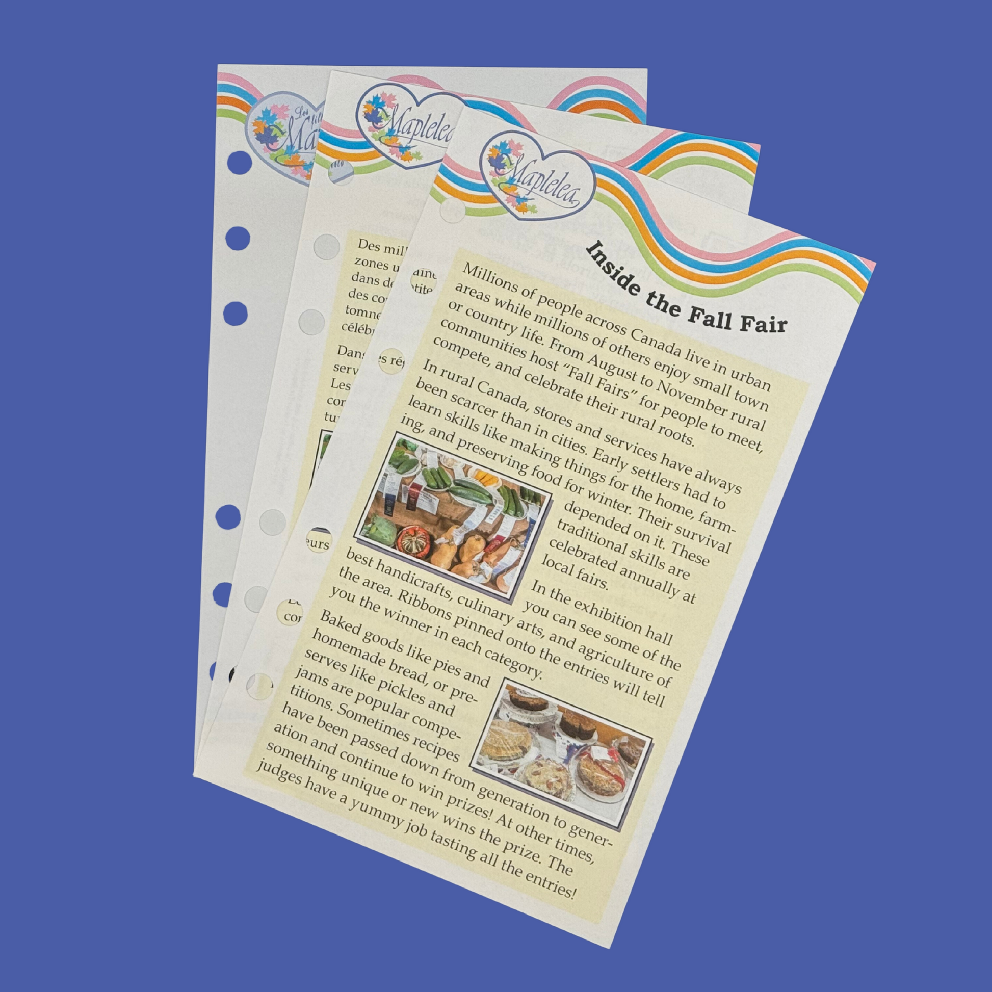 journal pages included in the rural roots dress set