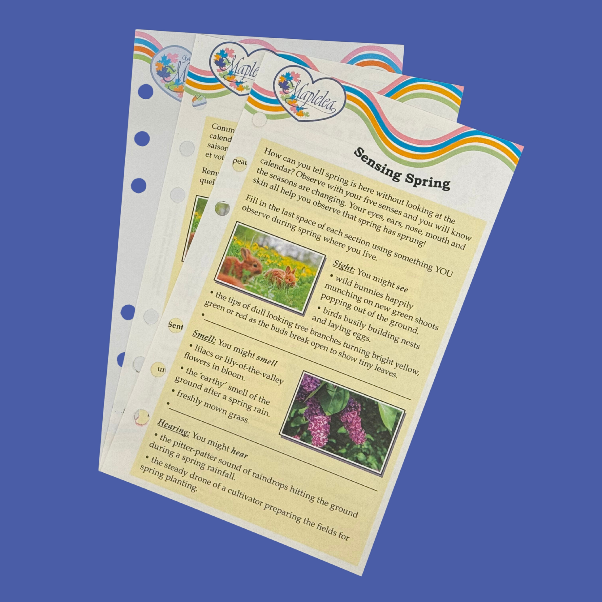 sensational spring journal pages