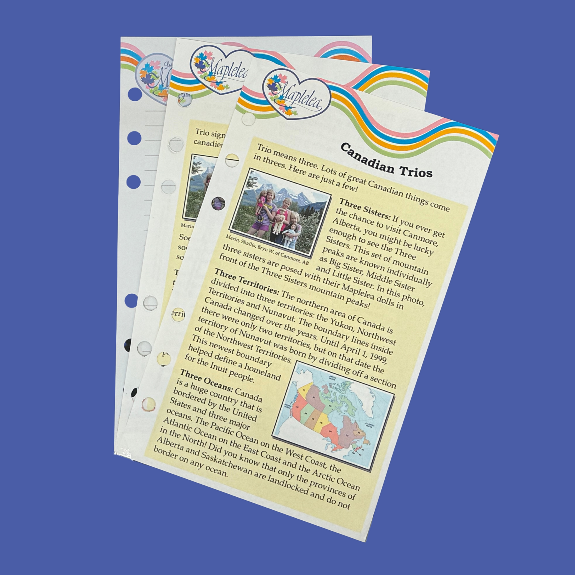 trio of shoes journal pages