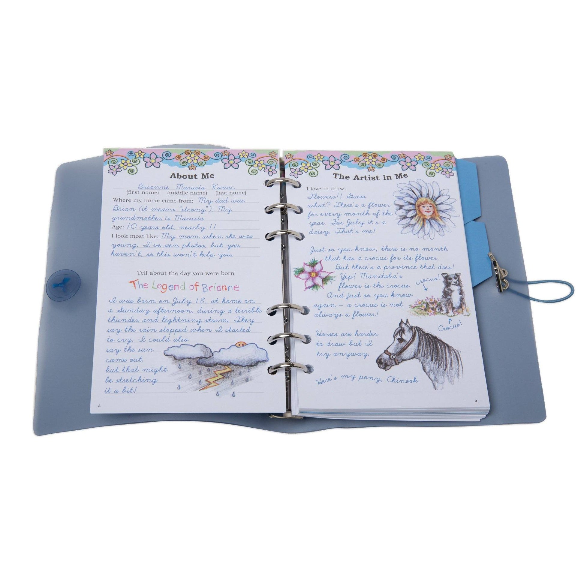 Maplelea 18 inch doll Brianne's story journal.