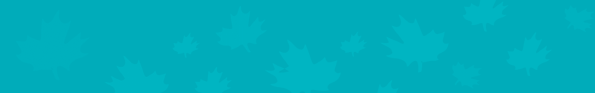 La boutique des époques canadiennes