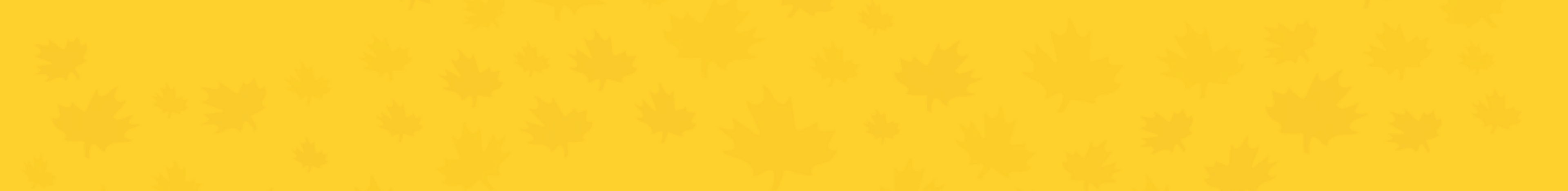collection-banner-image