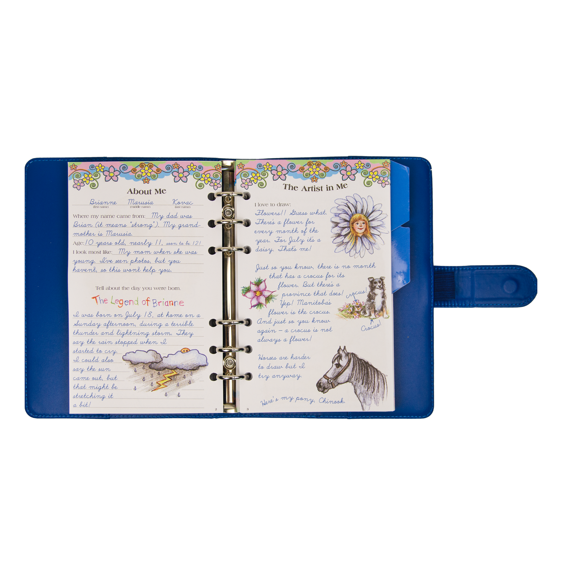 Maplelea 18 inch doll Brianne's story journal.