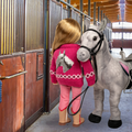 18-inch doll in a pink horse sweater outfit with horse in a stable.
