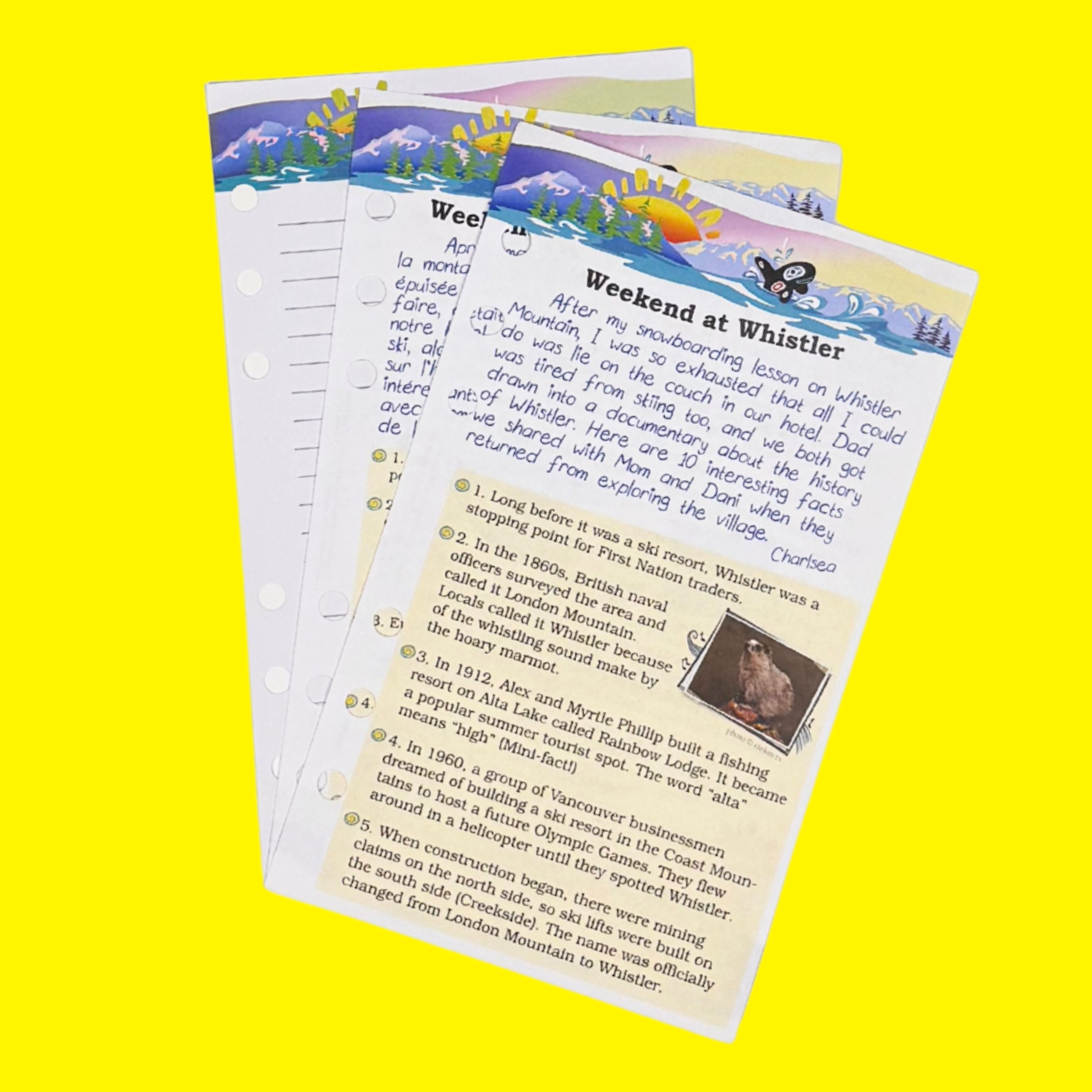 18-inch doll snowsuit journal pages.