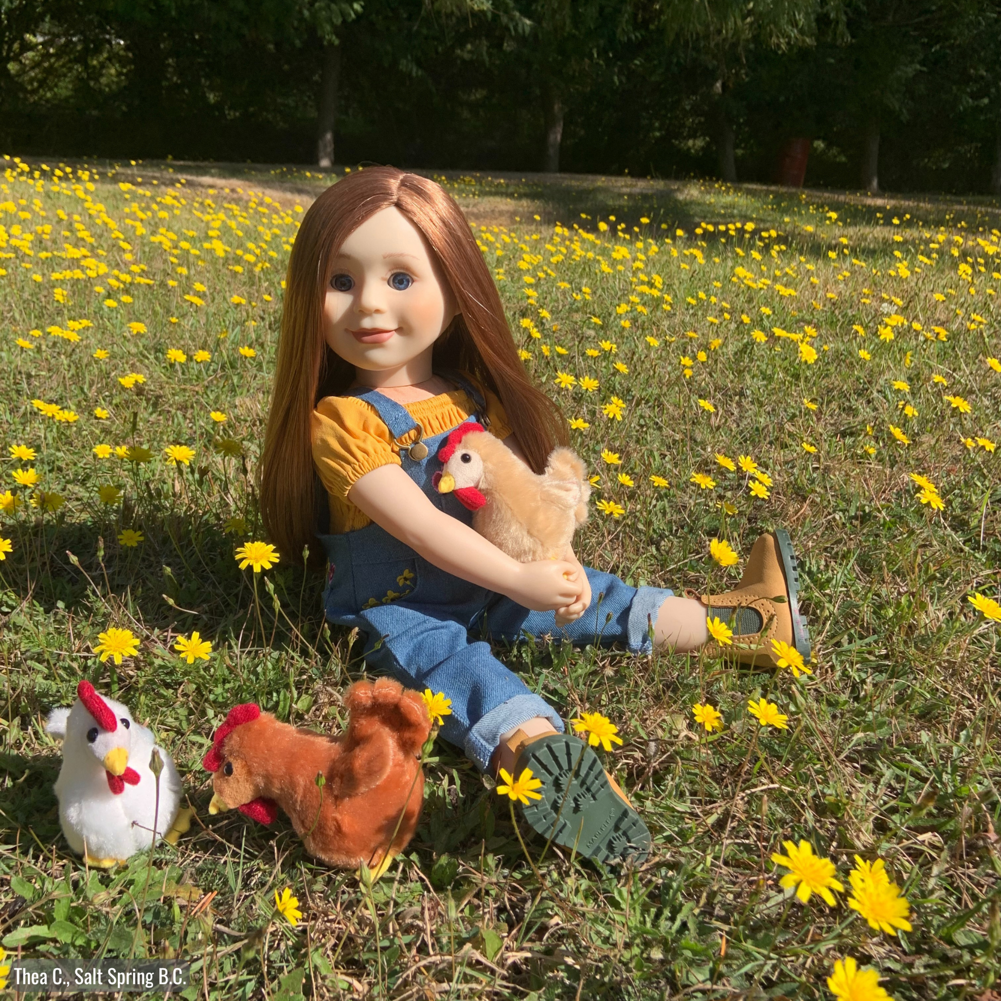 18-inch doll Charlsea sitting in a grass field holding her chickens.