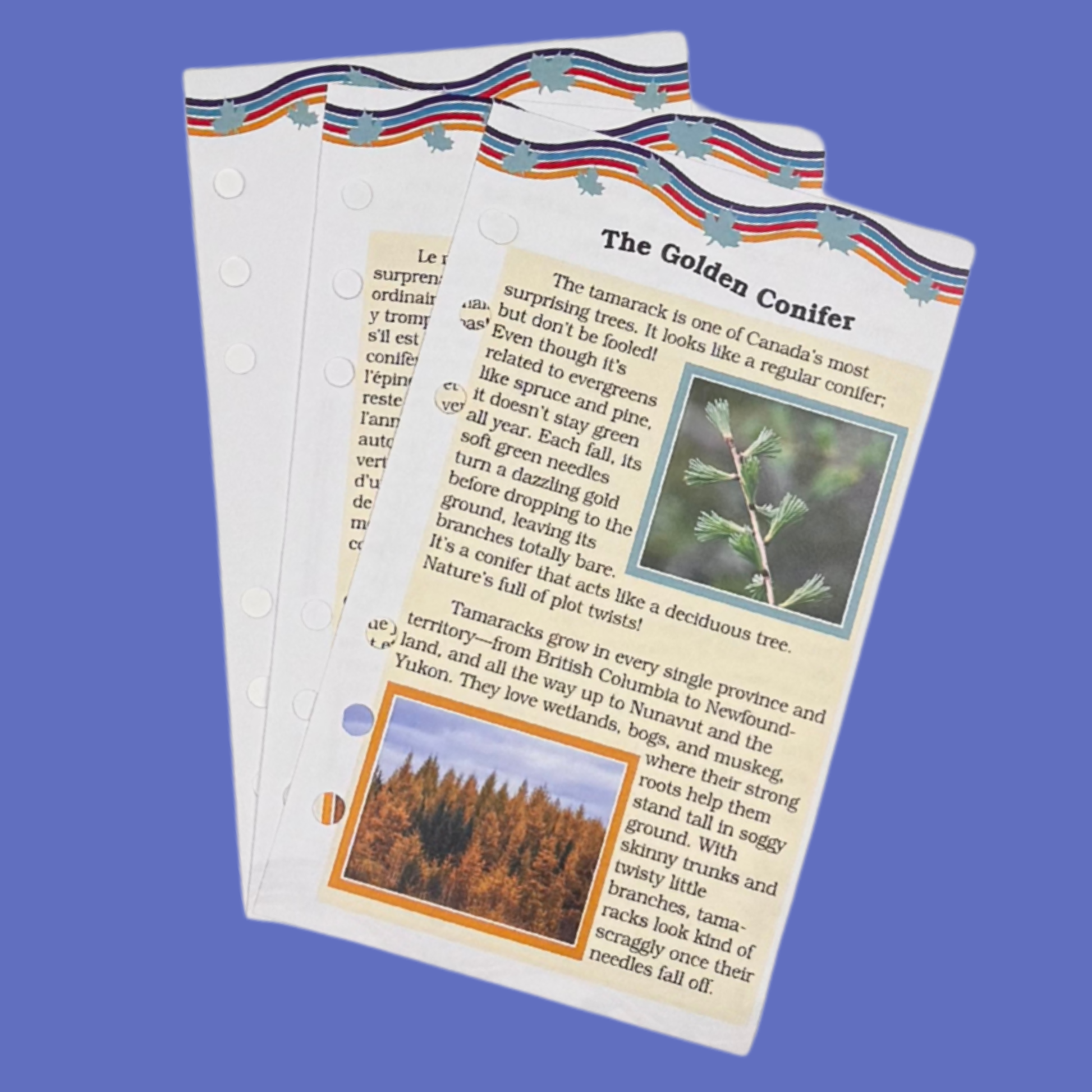 Knit sweater dress for 18-inch dolls journal pages.