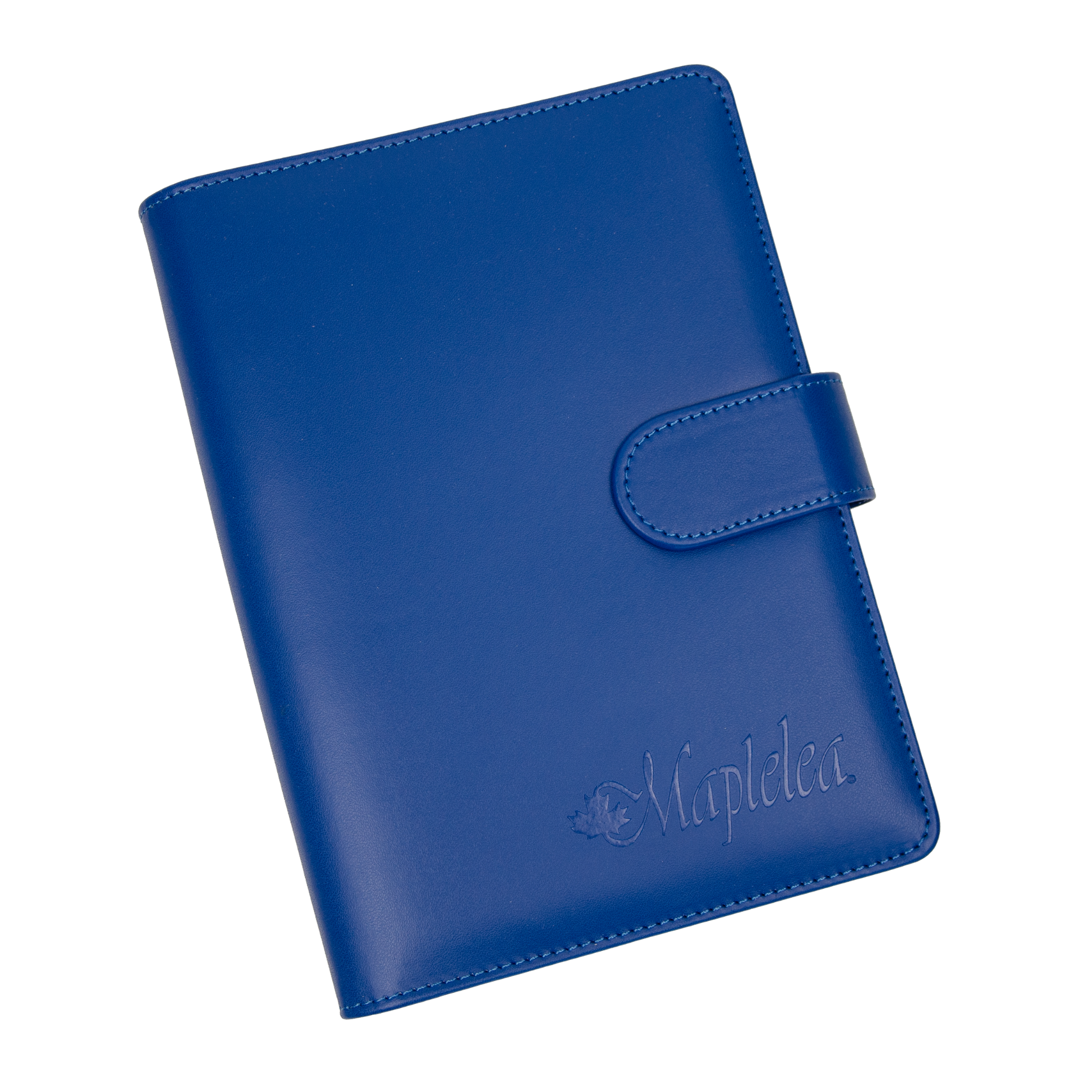 Maplelea 18-inch doll Saila's story journal.