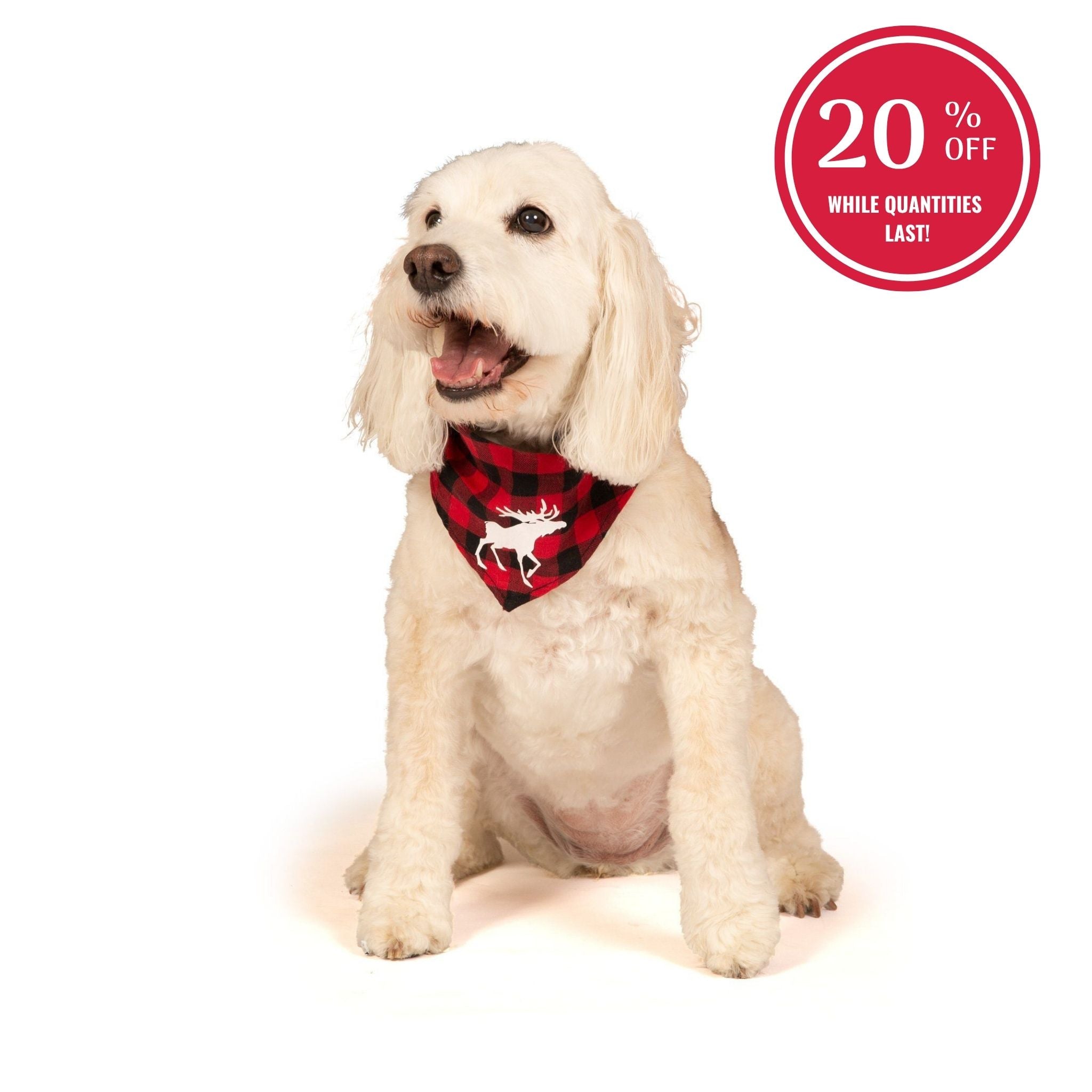 Canadian Moose Bandana for Dogs
