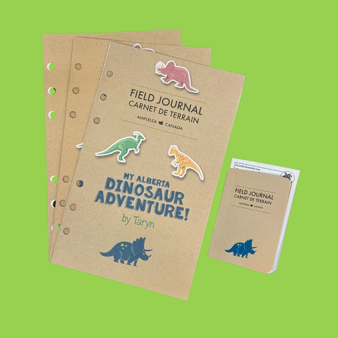 Paleontology set for 18 inch dolls field journal project board and dinosaur adventure story journal 