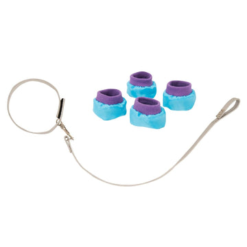 Dog booties and leash