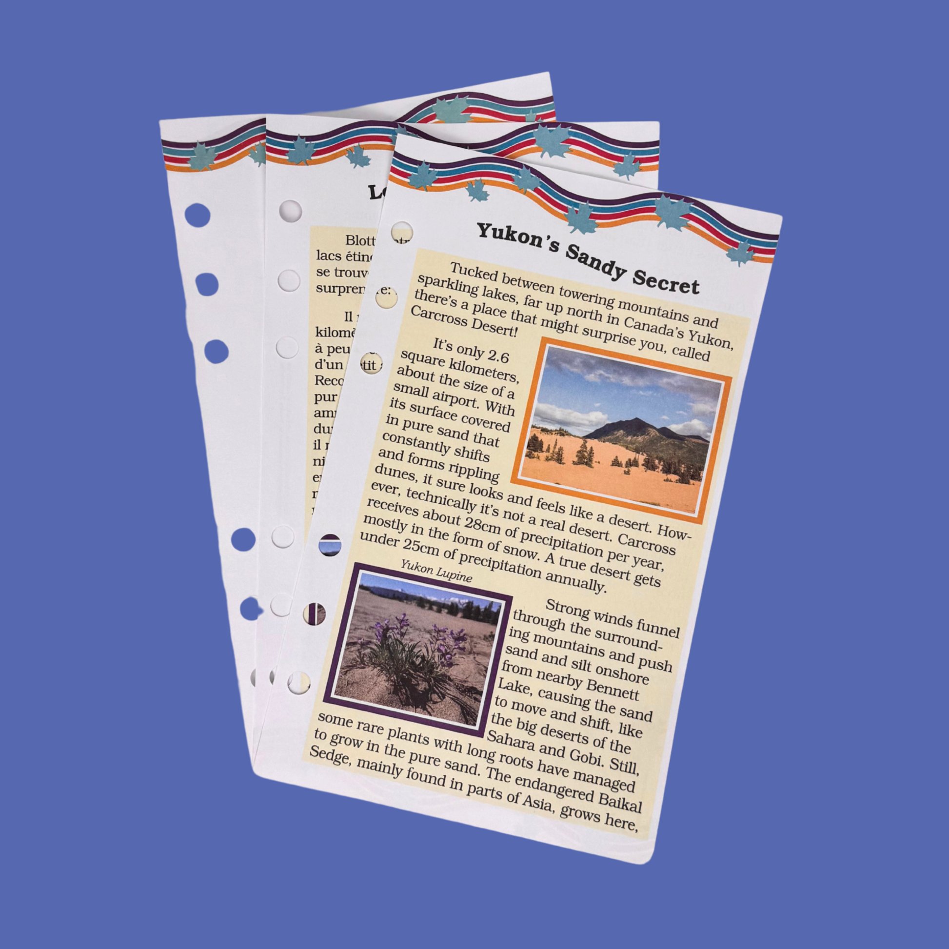 Three collectible journal pages for Maplelea's carcross desert boots for 18-inch dolls, about the carcross desert.