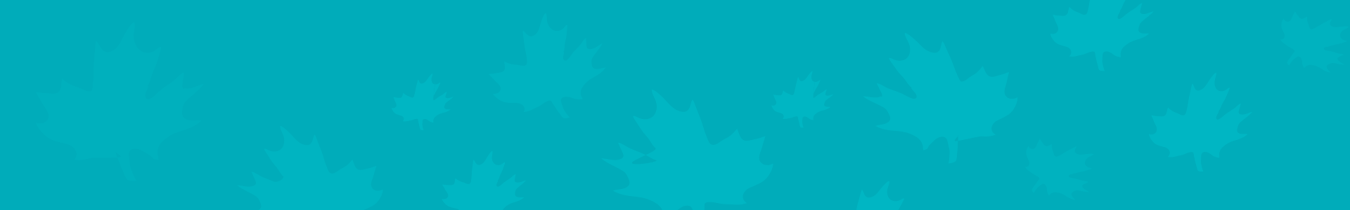 collection-banner-image