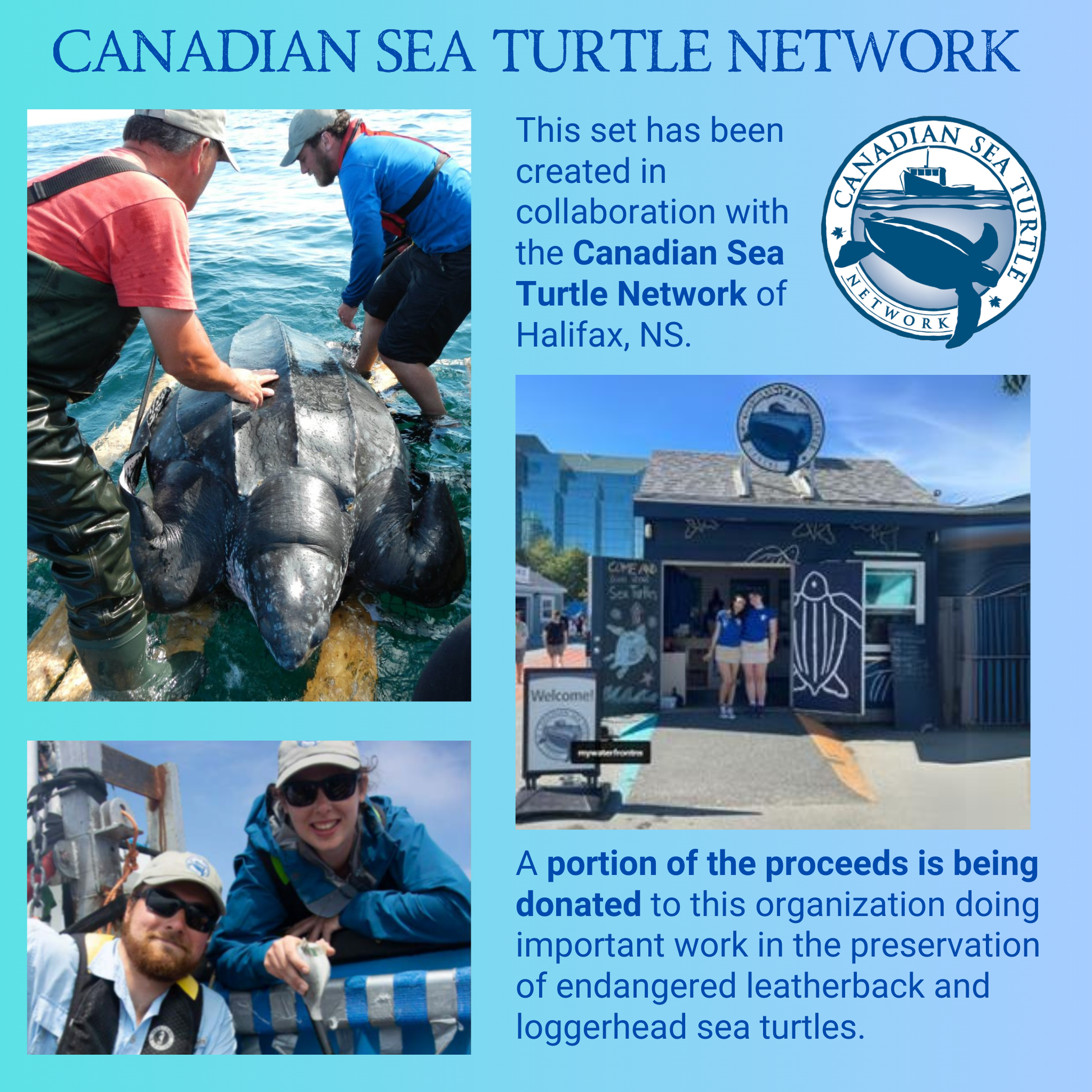 some information abouthow this set was created in collaboration with the canadian sea turtle network located in halifax.