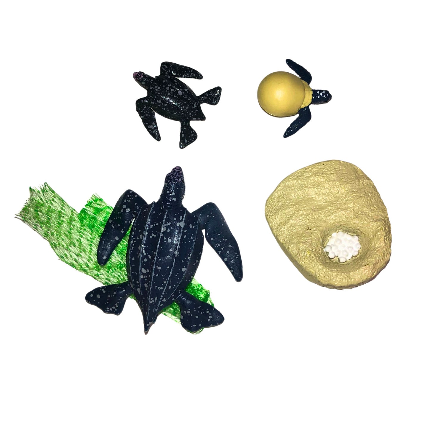 Jenna's Sea Turtle Expedition Set for 18-inch Dolls – Maplelea