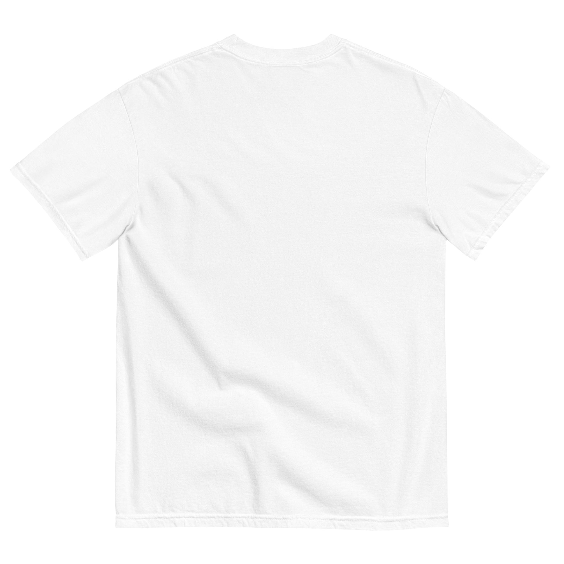 Back view of a plain white adult T-shirt displayed against a light gray background. The shirt features short sleeves, a crew neckline, and no visible graphics, text, or design elements on the back.