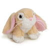 Hoppit and her bunnies is 1 mom lop-eared dwarf rabbit and her 3 baby bunnies. For all 18 inch dolls.