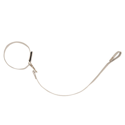 Silver leash for plush dogs that belong to 18 inch dolls like Maplelea.