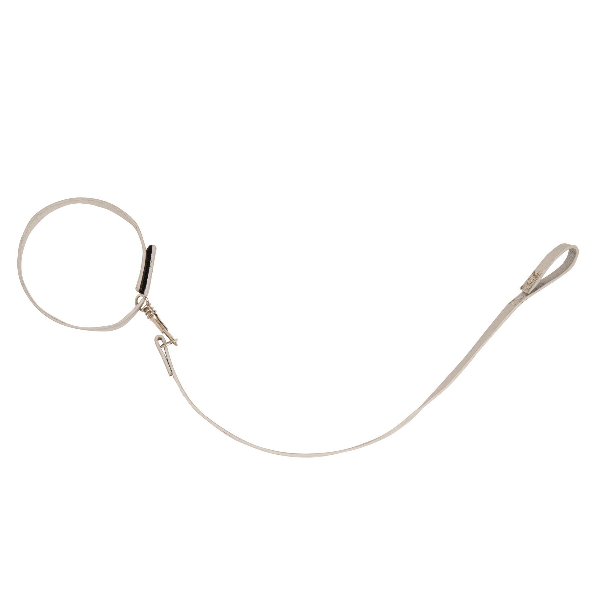 Silver leash for plush dogs. 
