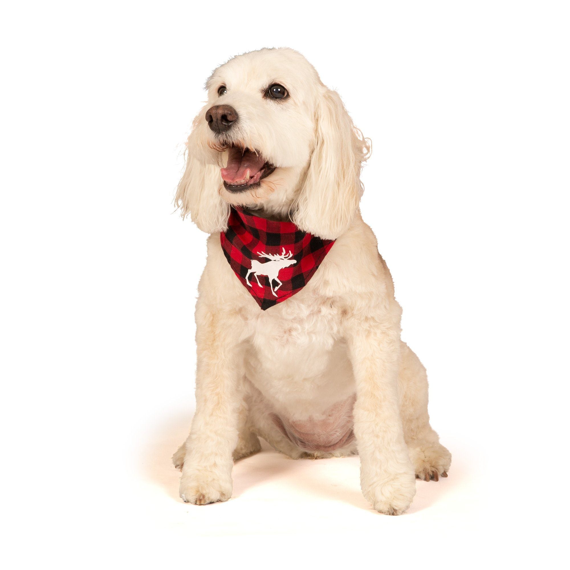 red and black plaid bandana for dogs matches family pjs