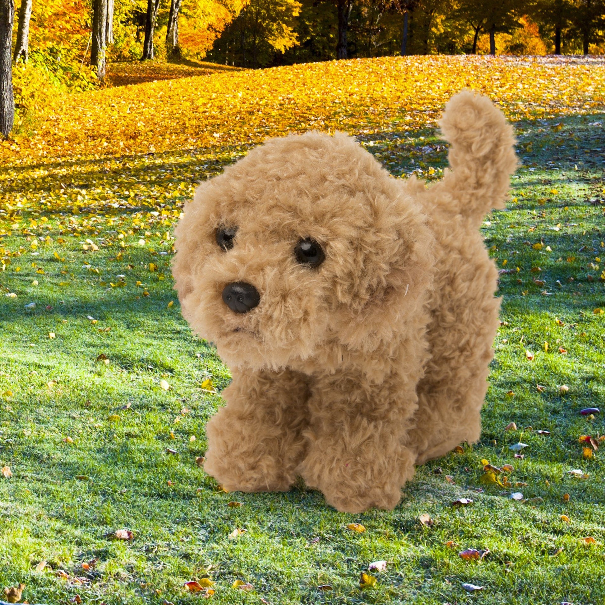 Sable plus Maltipoo dog for all 18 inch dolls. 