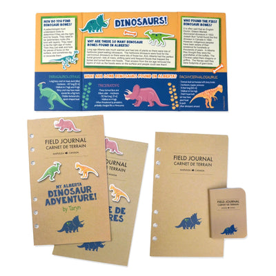 Paleontology set for 18 inch dolls field journal project board and dinosaur adventure story journal