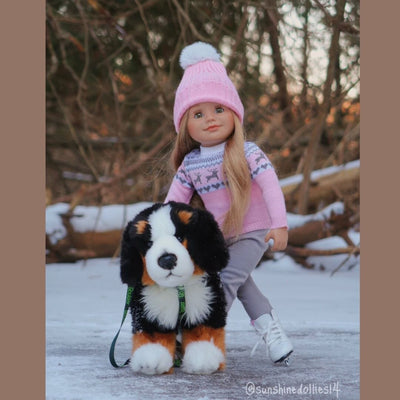 18-inch doll wearing doll clothes including sweater, toque, leggings and figure skates with plush dog