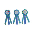 winner's circle 3 participation ribbons for all 18 inch dolls flat image with white background.